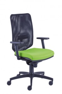 Ergonomiškos biuro kėdės