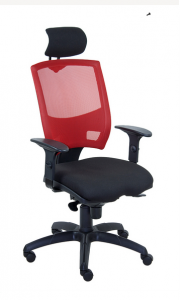 ergonomiškos kėdės