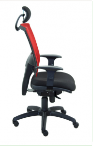 ergonomiškos kėdės