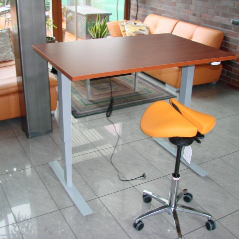 Height adjustable tables Ergos EL 500
