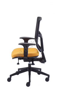 Ergonomiška biuro kėdė Now Ultra